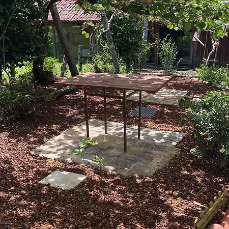 Casa Gasamans Lodge