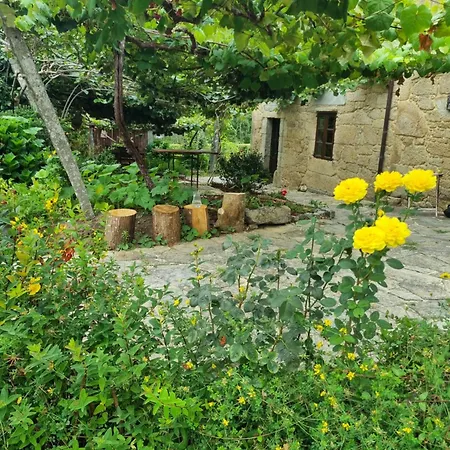 Lodge Casa Gasamans Amés